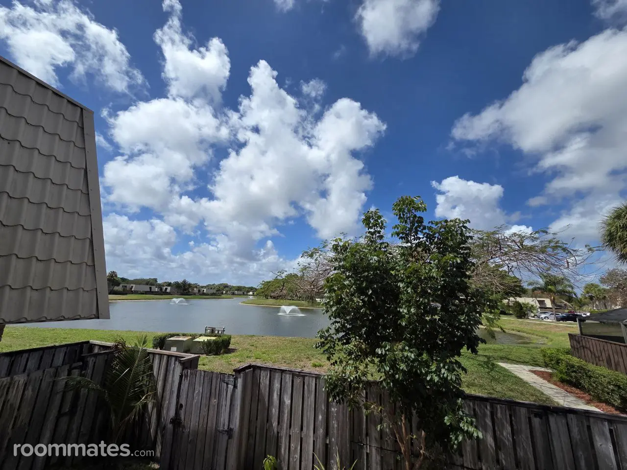 Profile photo 3 of 11