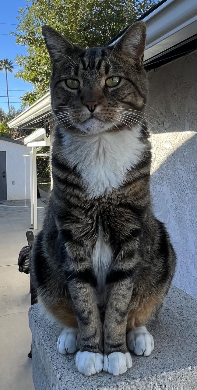 Profile photo 9 of 15