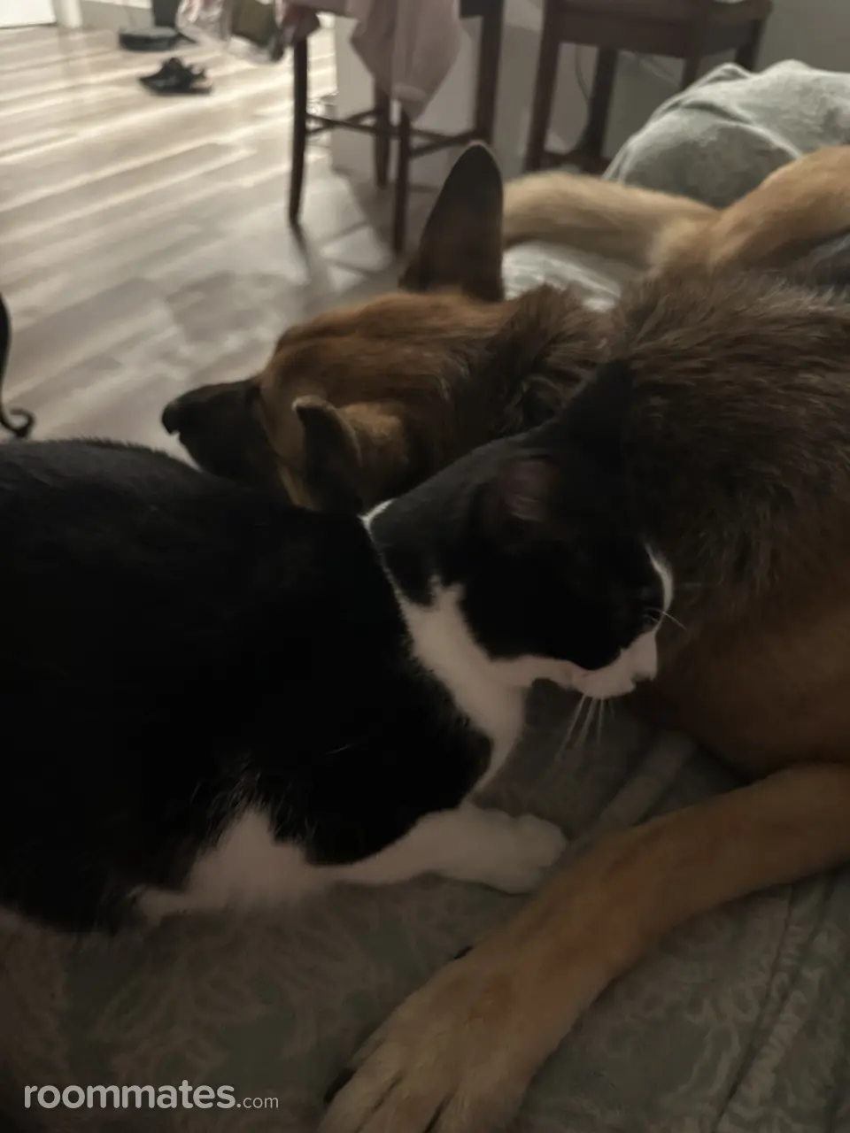 Profile photo 3 of 8