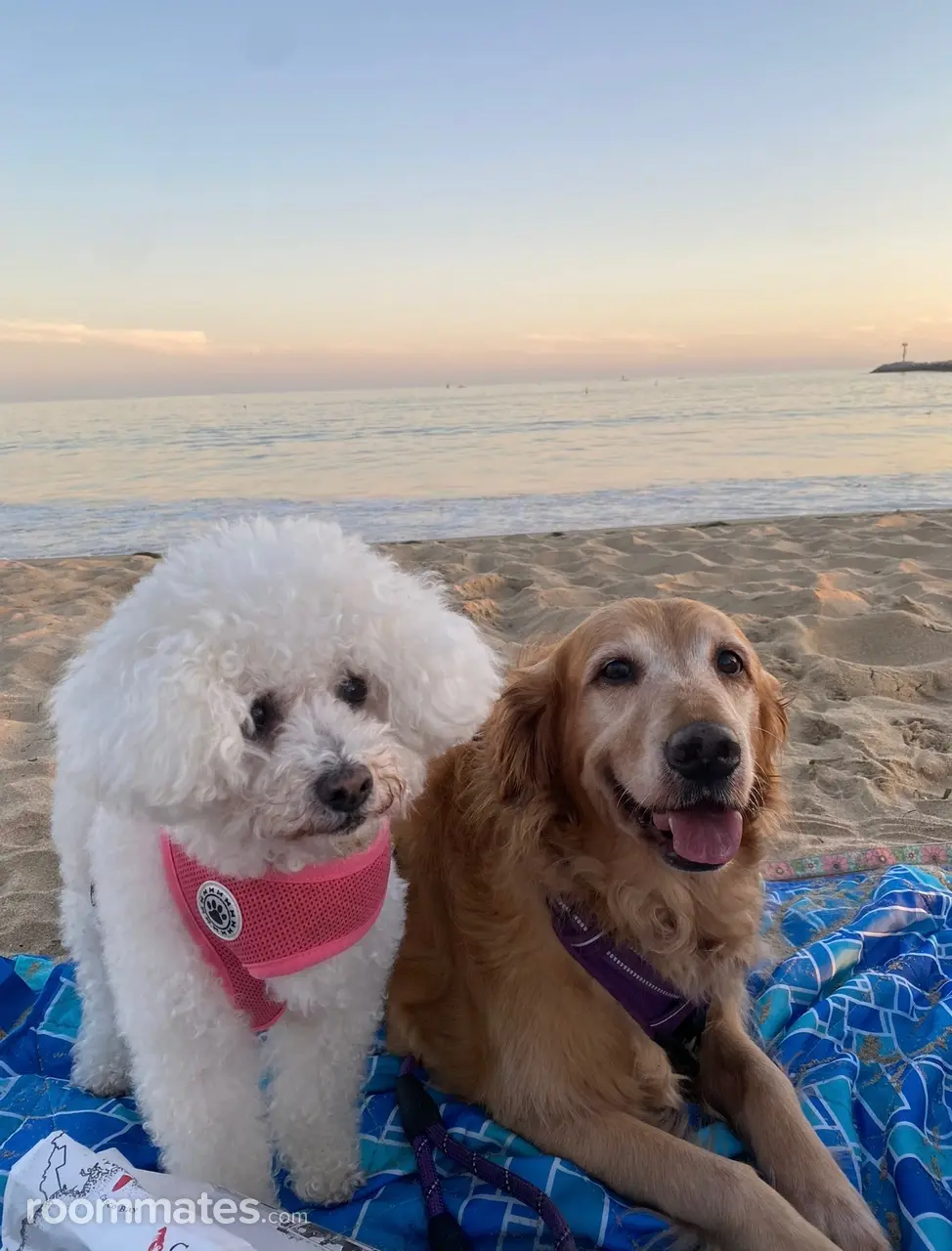 Profile photo 5 of 10