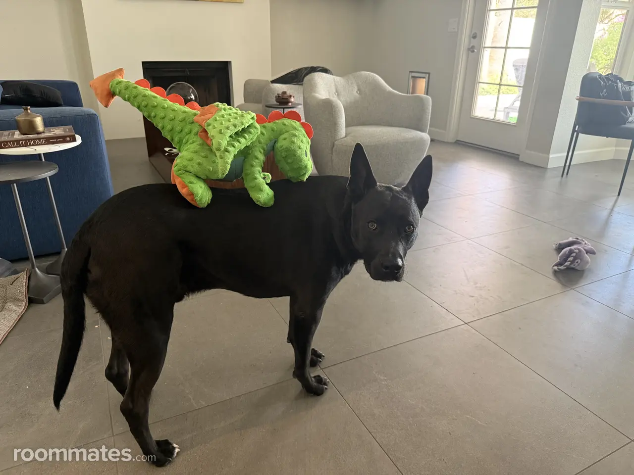 Profile photo 7 of 10