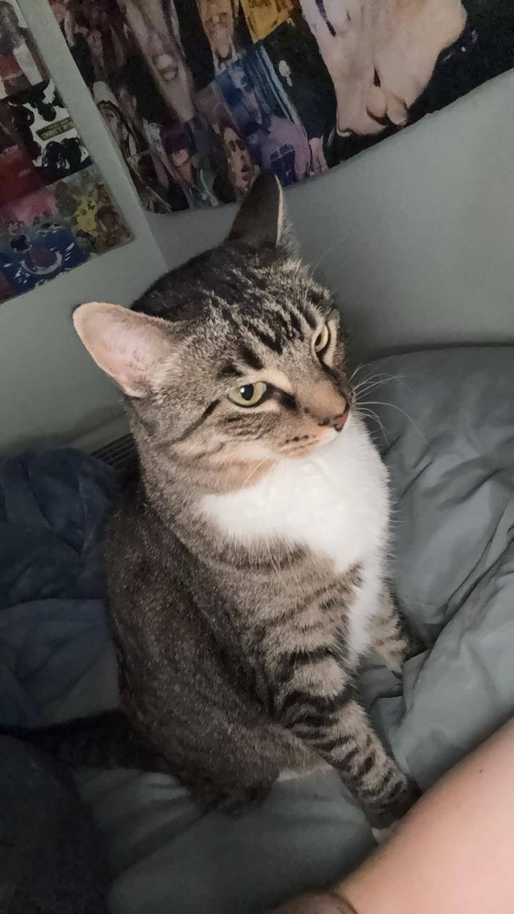 Profile photo 9 of 9