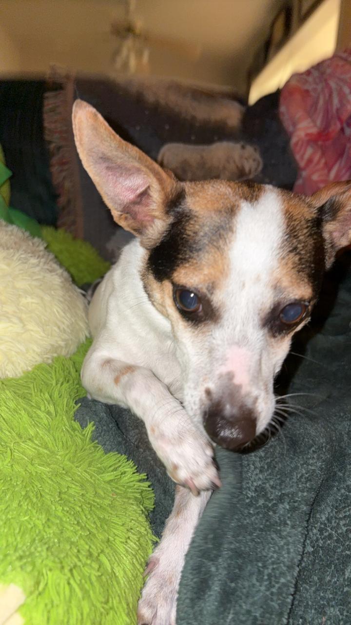 Profile photo 7 of 9