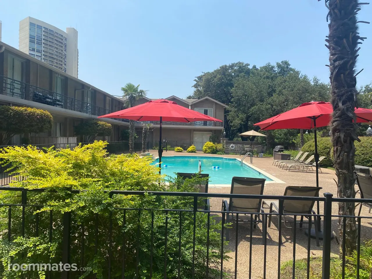 Profile photo 8 of 9