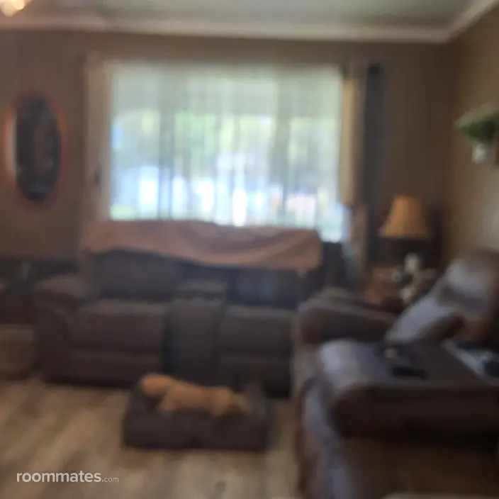 Room for rent in St. Petersburg, FL $1000, house