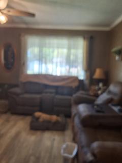Room for rent in St. Petersburg, FL $1000, house