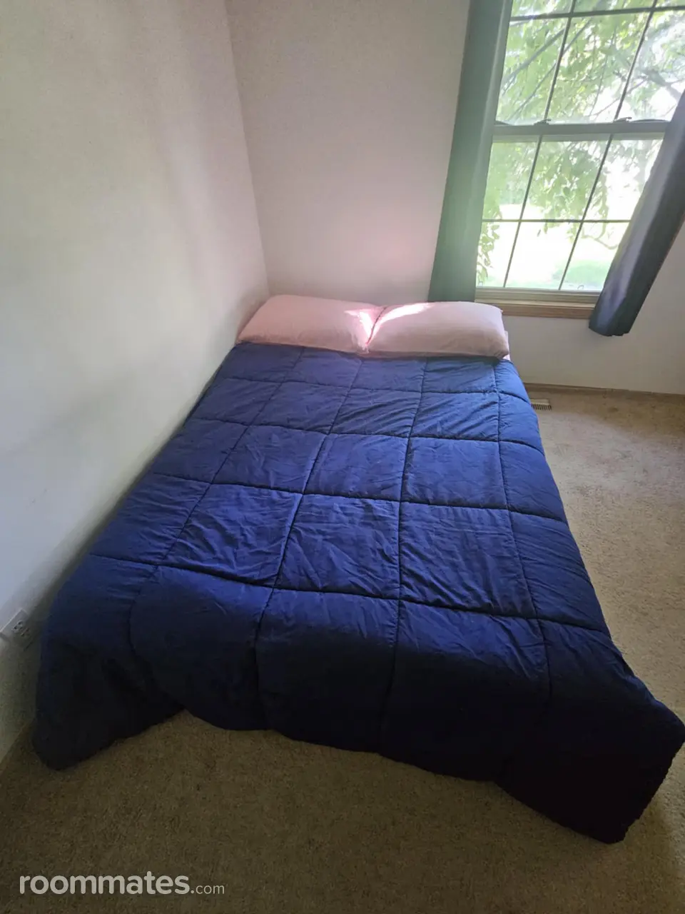 Profile photo 2 of 7