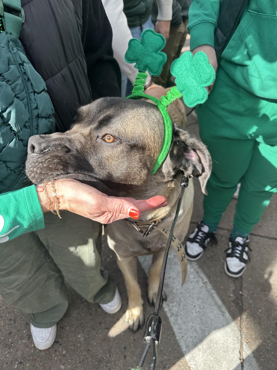 Profile photo 7 of 8