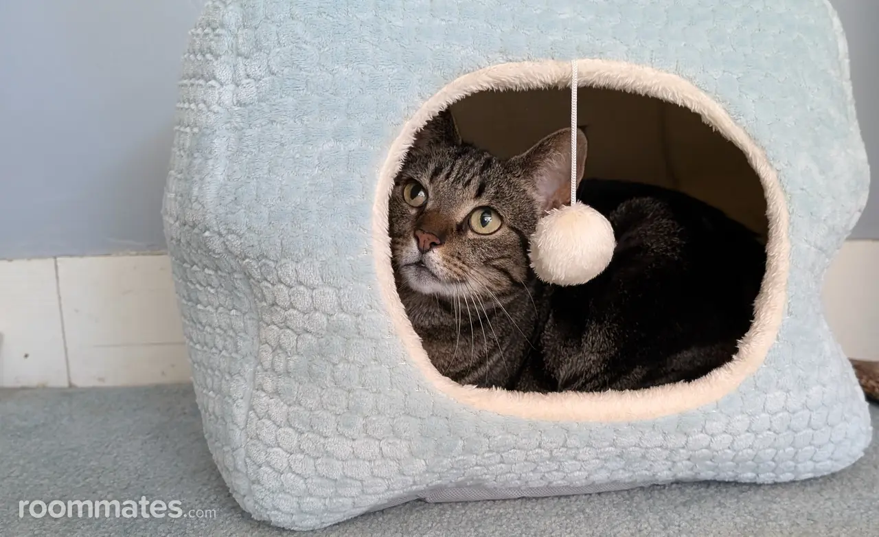 Profile photo 10 of 11