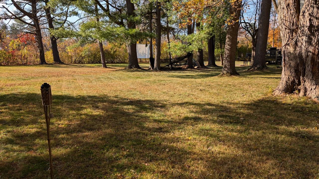 Profile photo 9 of 11