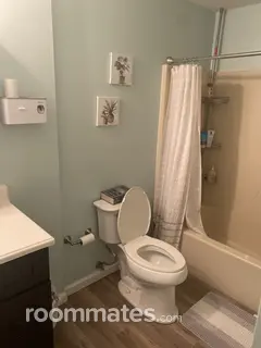 Room for rent in Pittsburgh, PA $500, condo