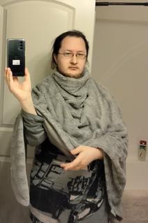 Roommate looking Westland, MI, $400