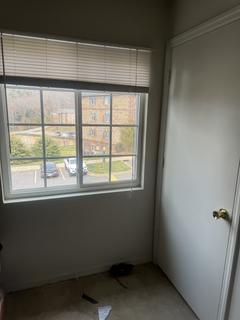 Room for rent in Asheville, North Carolina $900, apartment
