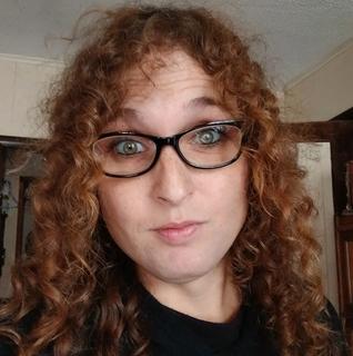 Roommate looking Ann Arbor, MI, $800