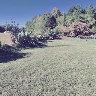 Room for rent in Piedmont, SC $650, house