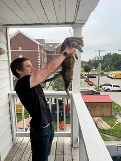 Roommate looking Salt Lake City, UT, $1000