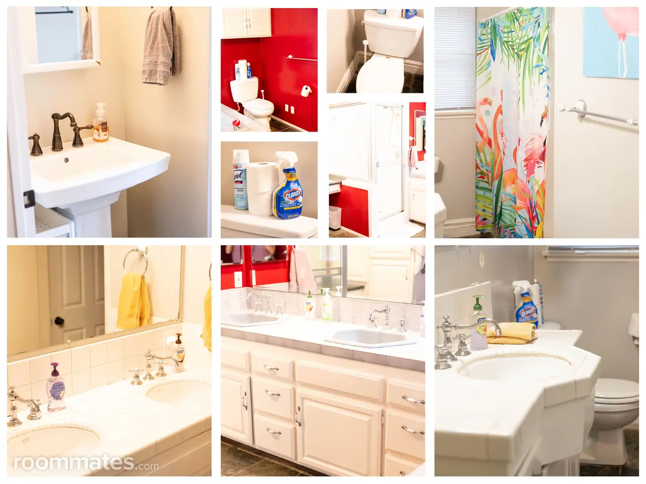 Profile photo 5 of 6