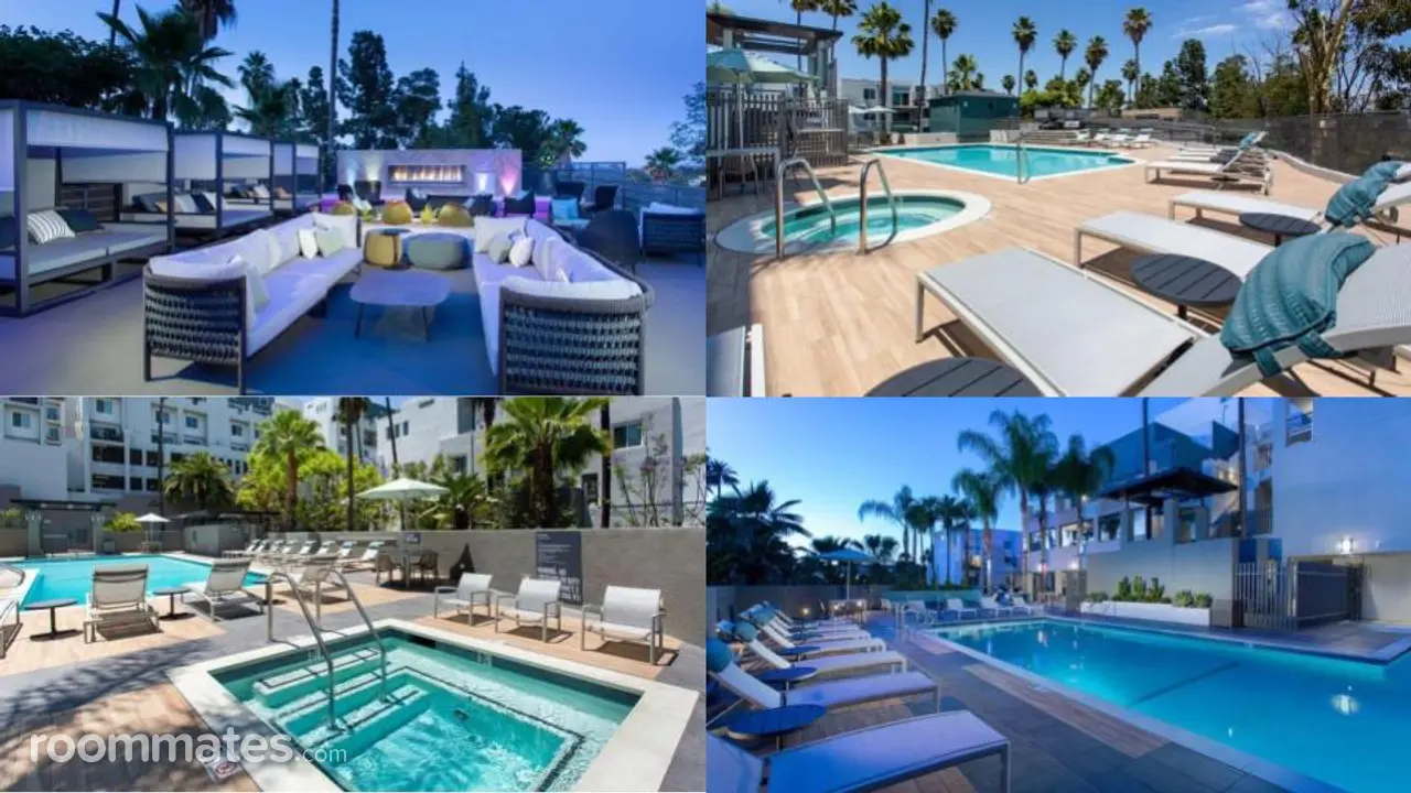 Profile photo 4 of 11