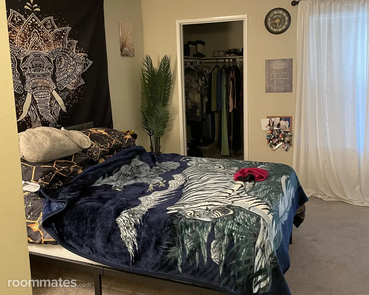 Profile photo 6 of 11