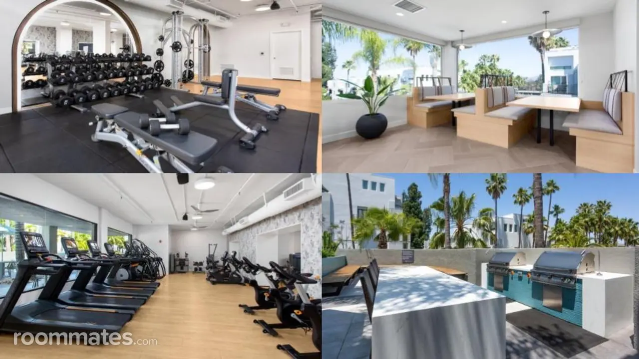 Profile photo 5 of 11