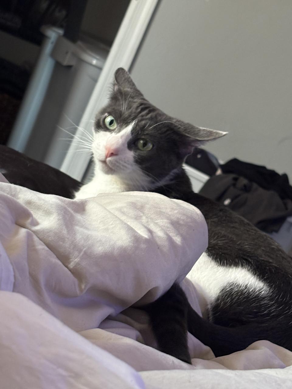 Profile photo 4 of 4