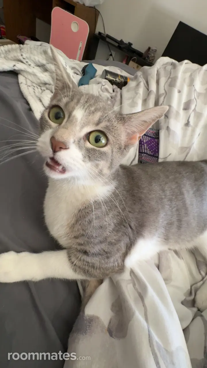 Profile photo 3 of 3