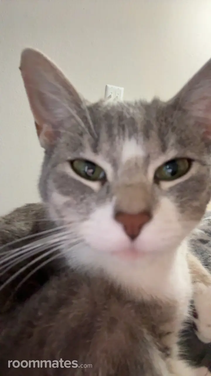 Profile photo 2 of 3