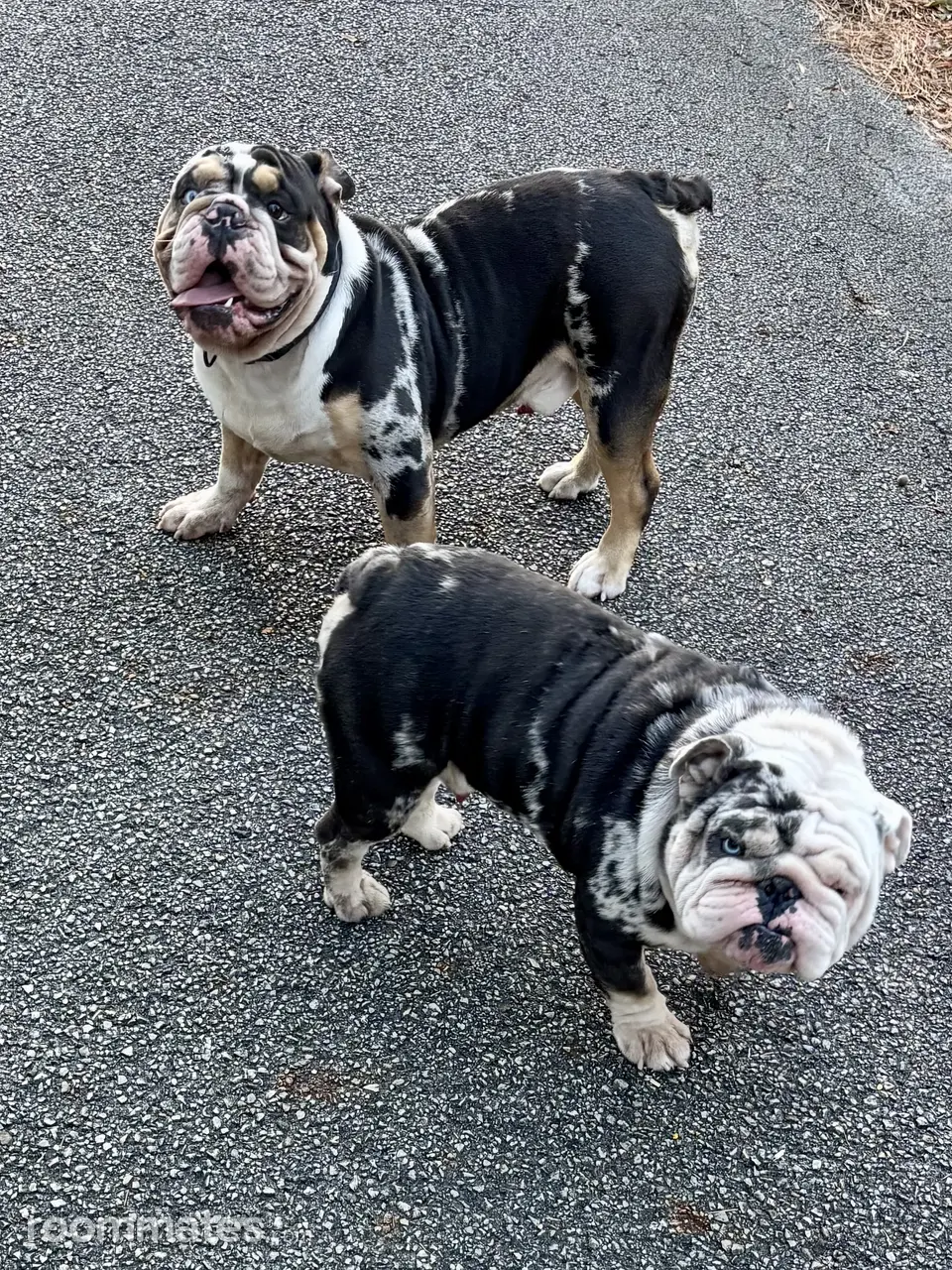 Profile photo 4 of 7