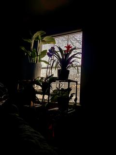 Room for rent in Conroe, TX $200, house