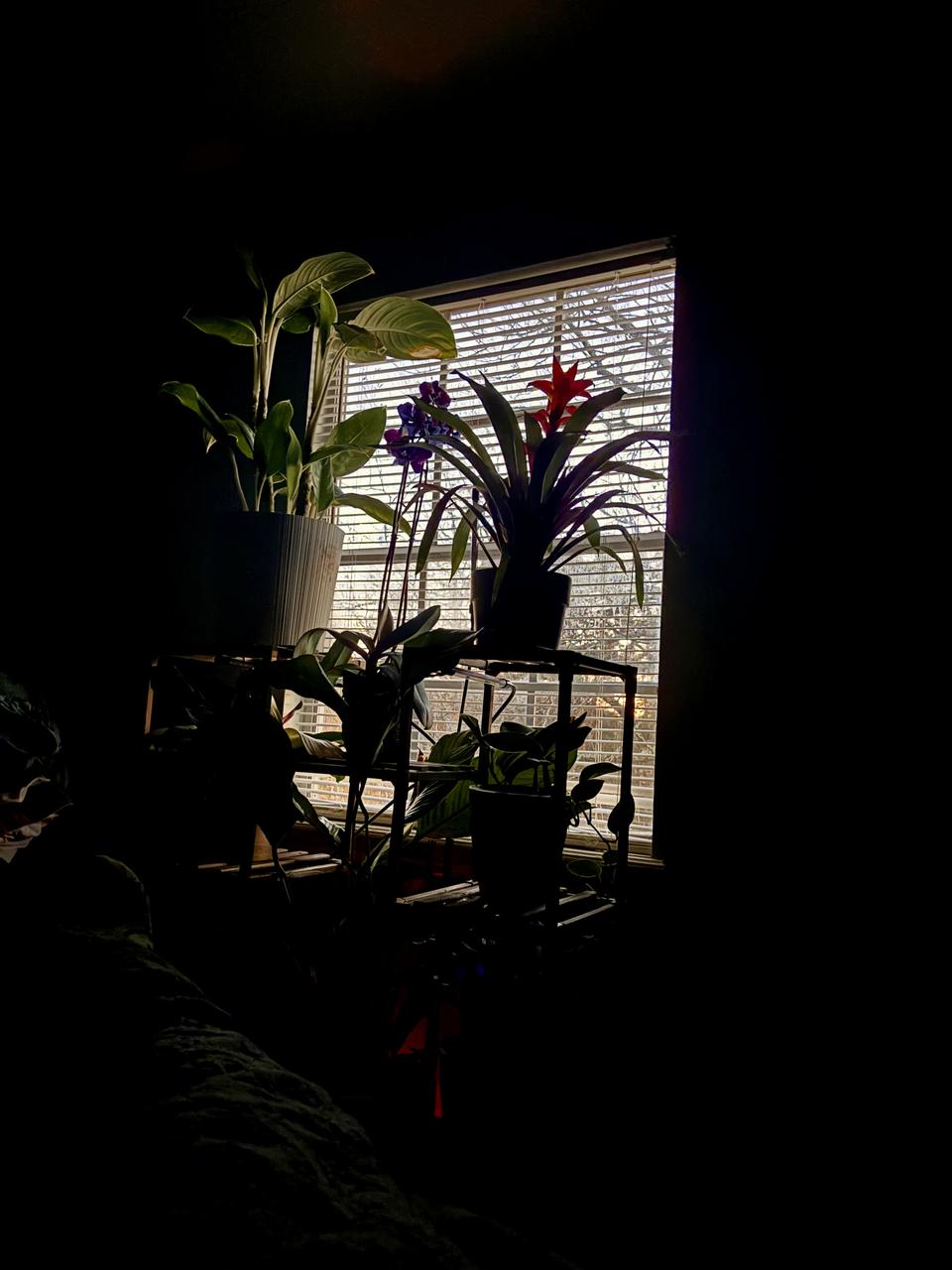 Profile photo 3 of 7