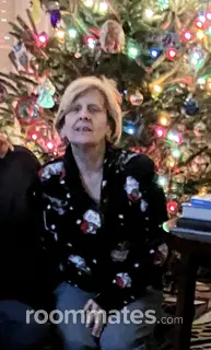 Roommate looking Garner, NC, $700