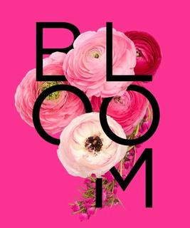 Roommate looking Columbus, GA, $500