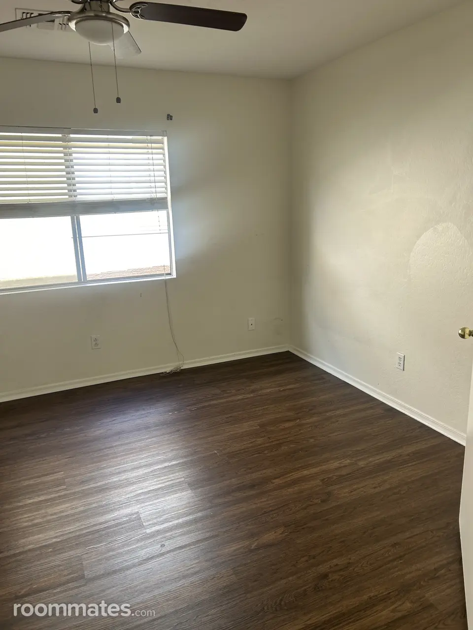 Profile photo 10 of 11