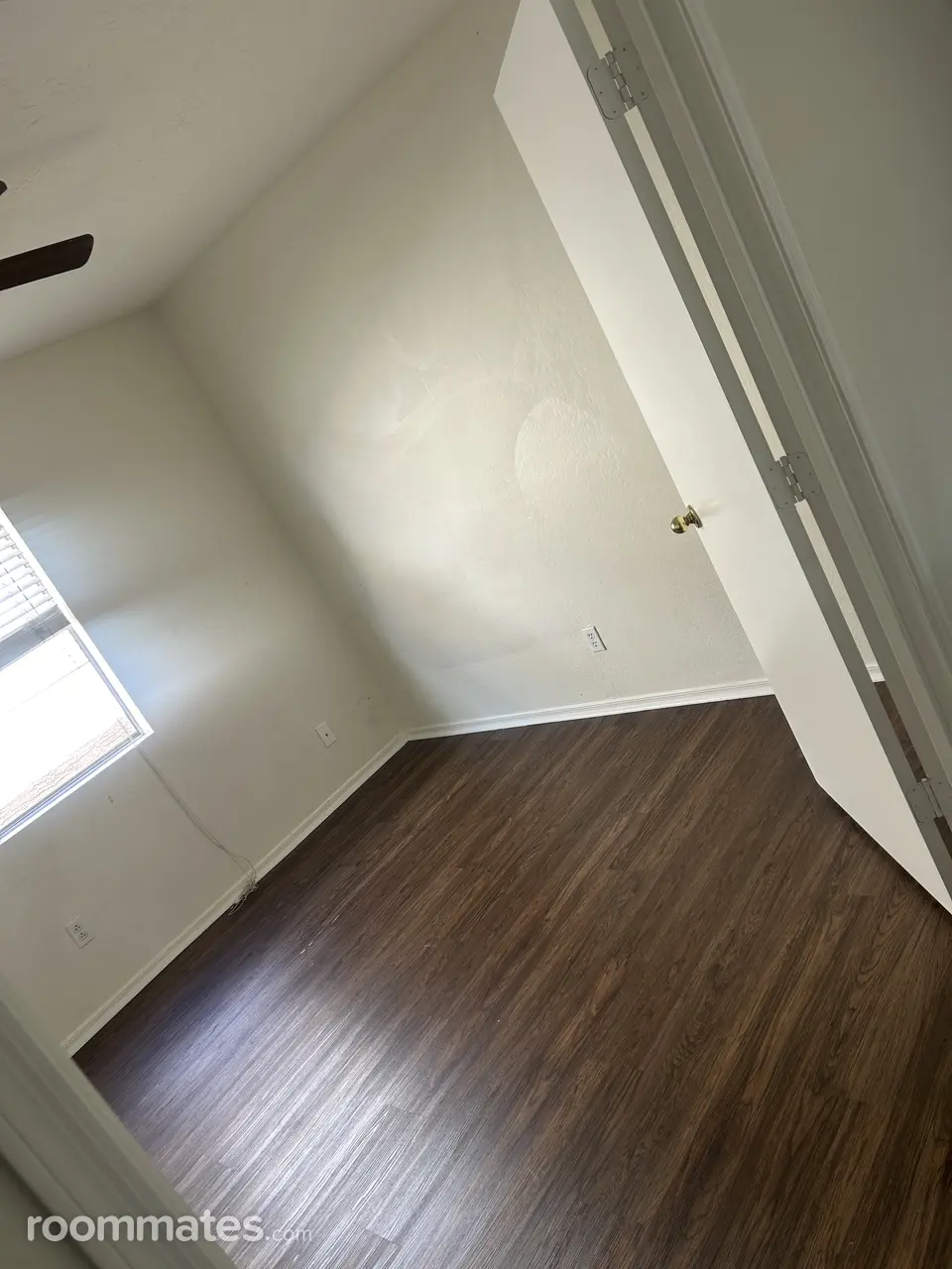 Profile photo 8 of 11