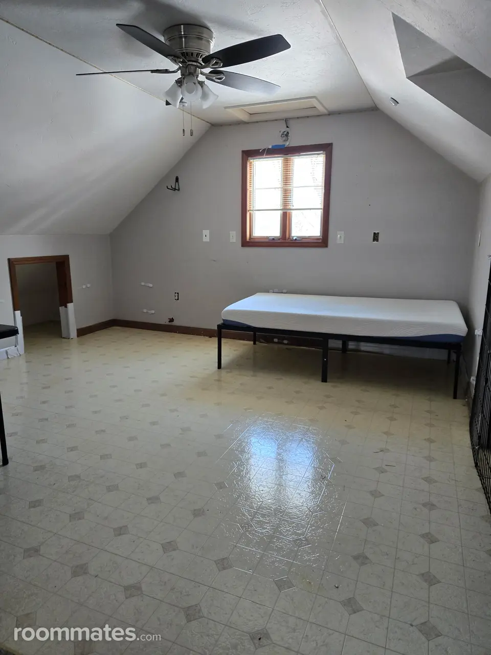 Profile photo 2 of 4