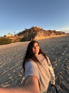 Roommate looking Vienna, VA, $1200