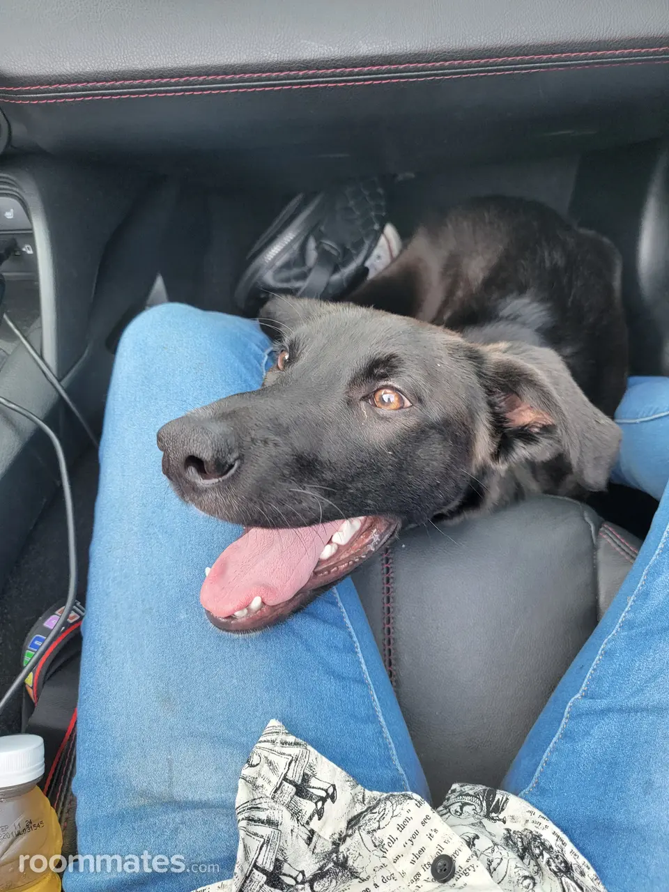 Profile photo 2 of 3