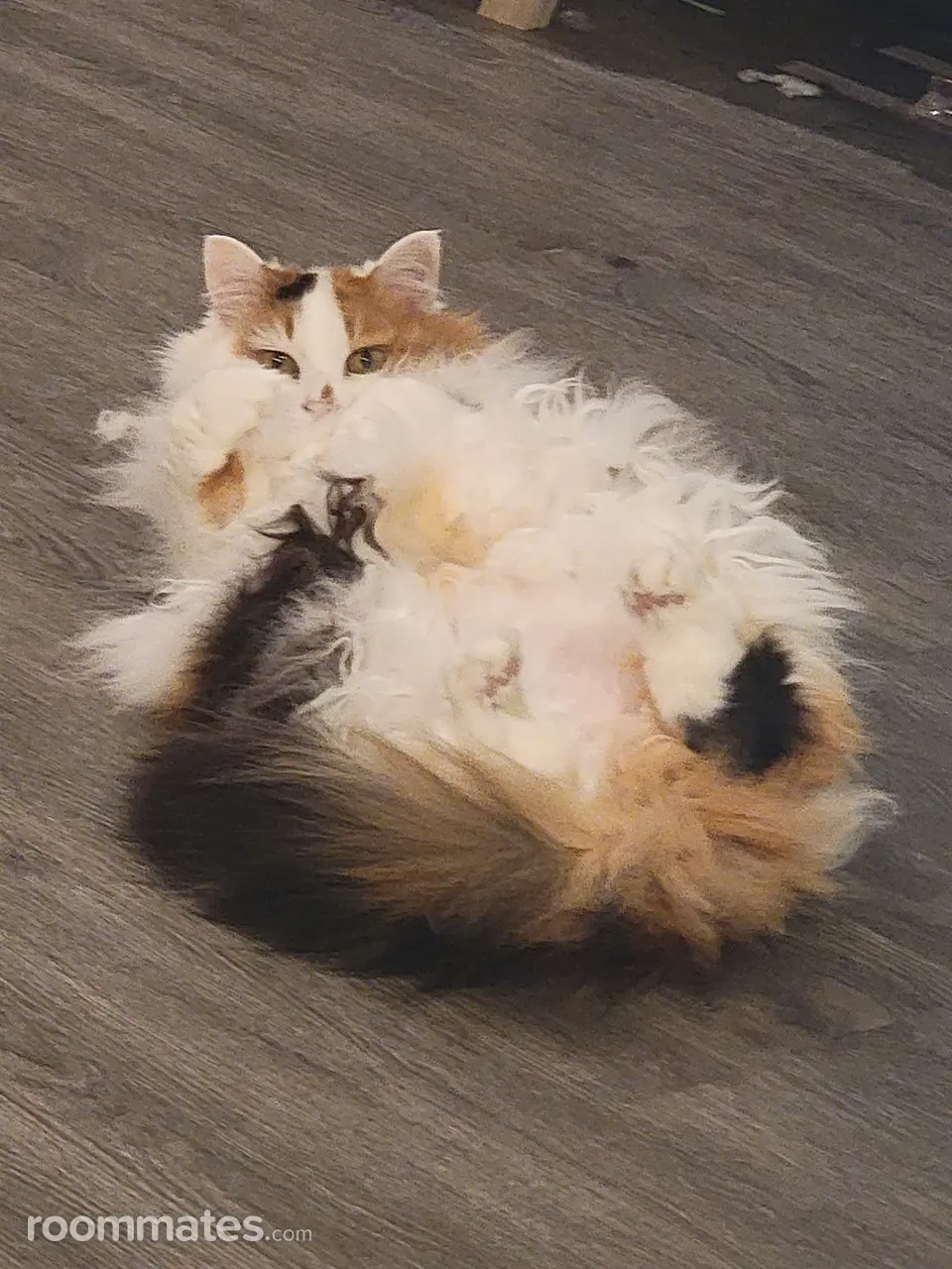 Profile photo 3 of 3