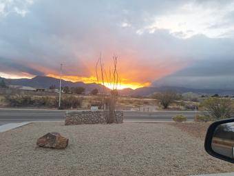 Roommate looking Sierra Vista, AZ, $700
