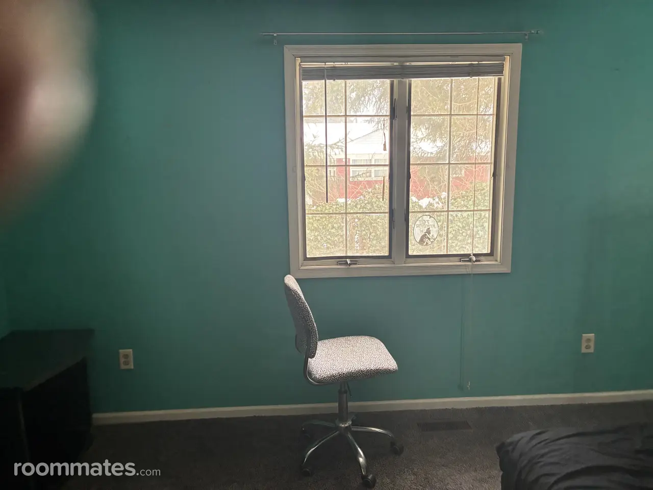 Profile photo 6 of 7