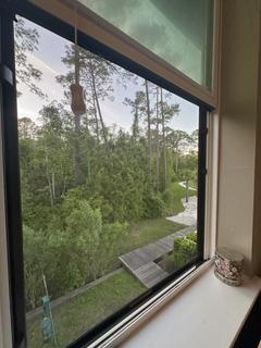Room for rent in Jacksonville, Florida $900, apartment