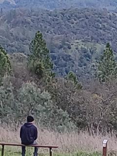 Roommate looking Auburn, CA, $800