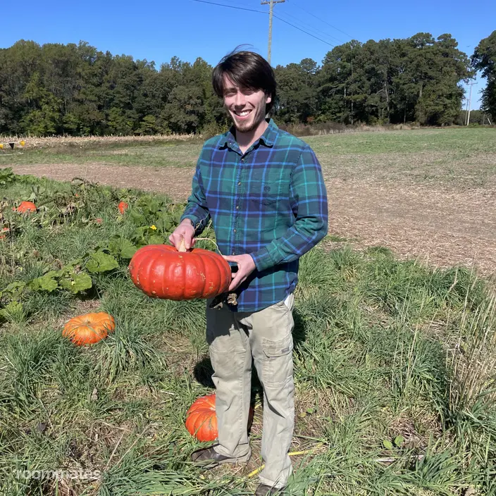 Roommate looking Newport News, VA, $1000
