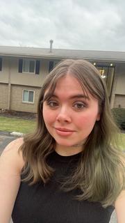 Roommate looking Bethel Park, PA, $700