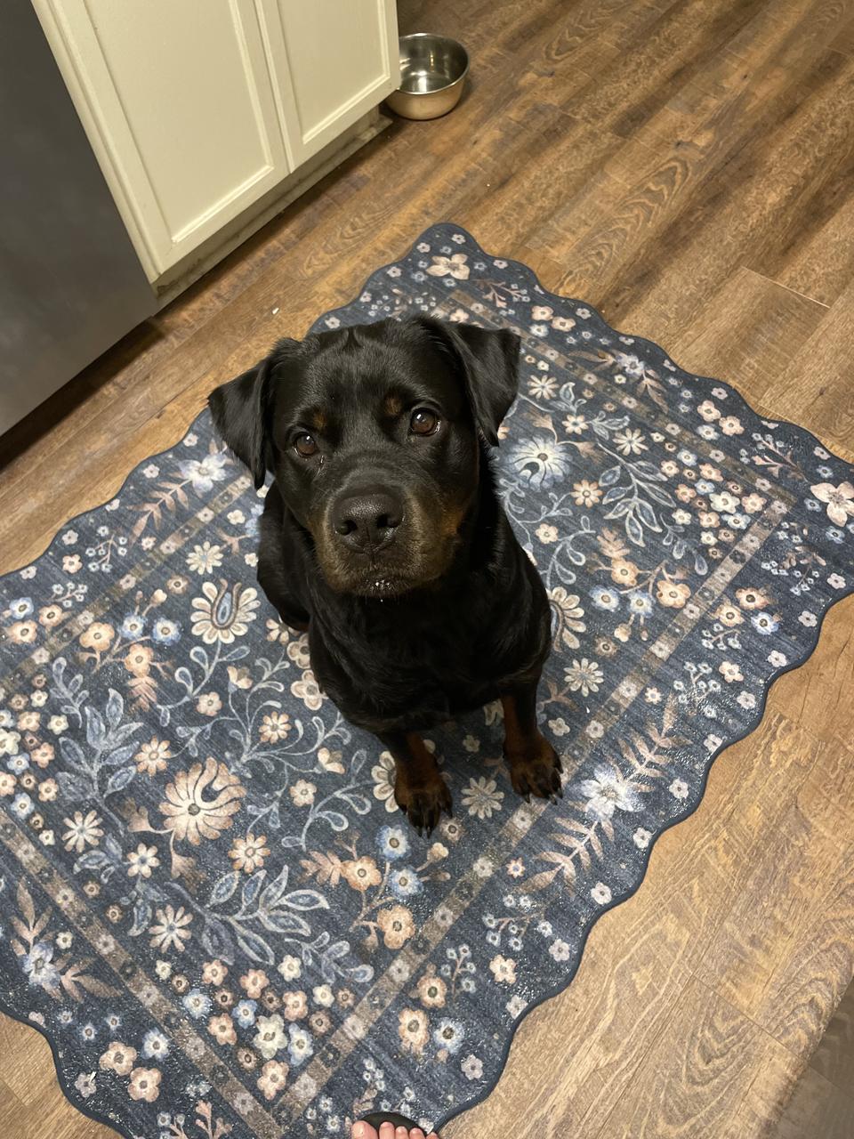 Profile photo 11 of 12