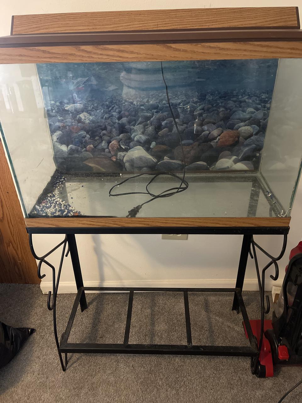 Profile photo 1 of 2