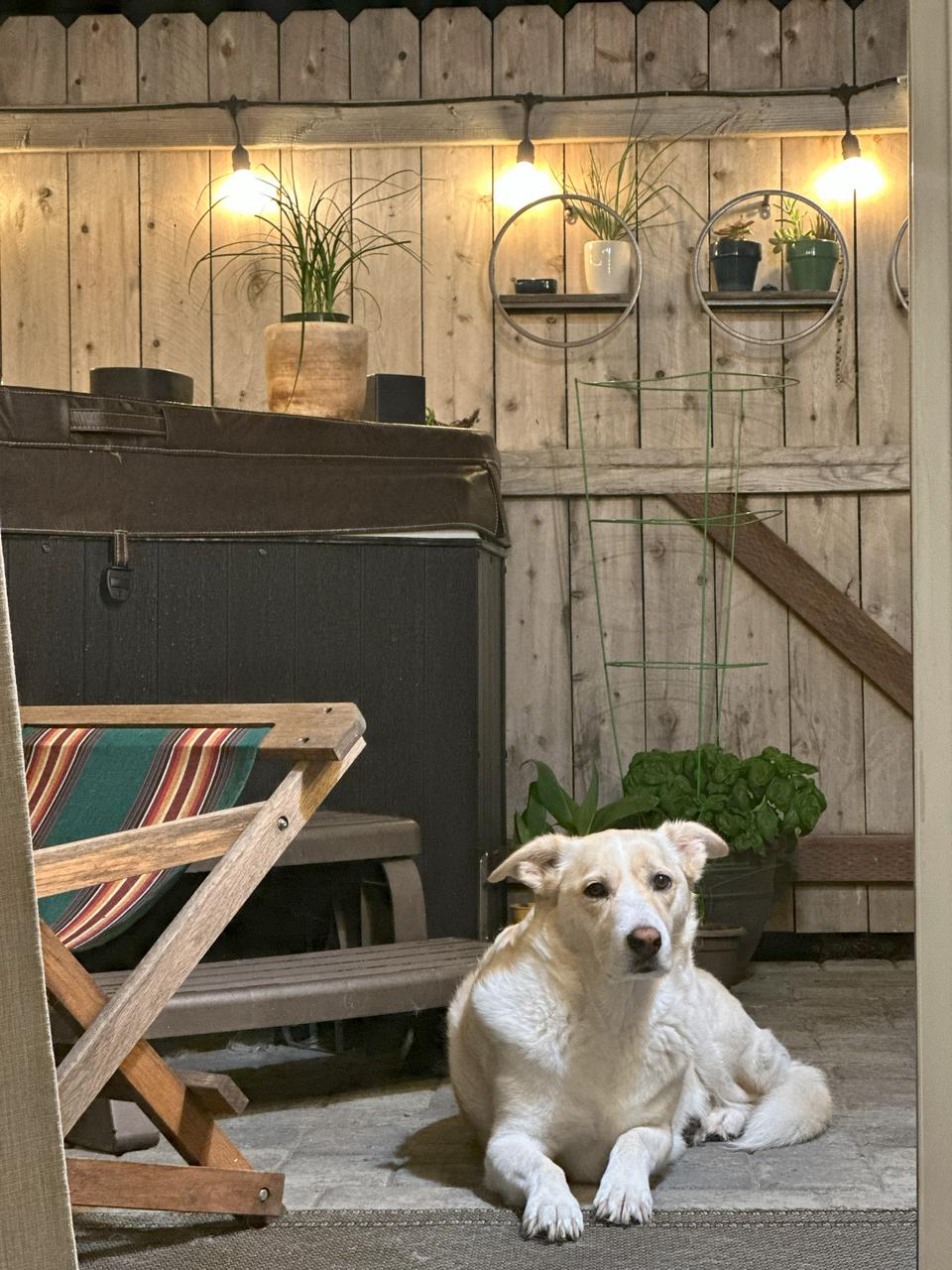 Profile photo 11 of 11