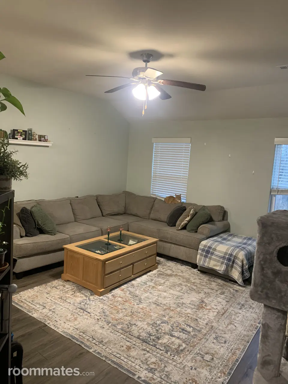 Profile photo 3 of 10