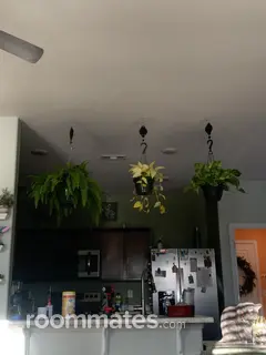 Room for rent in Bentonville, AR $750, house