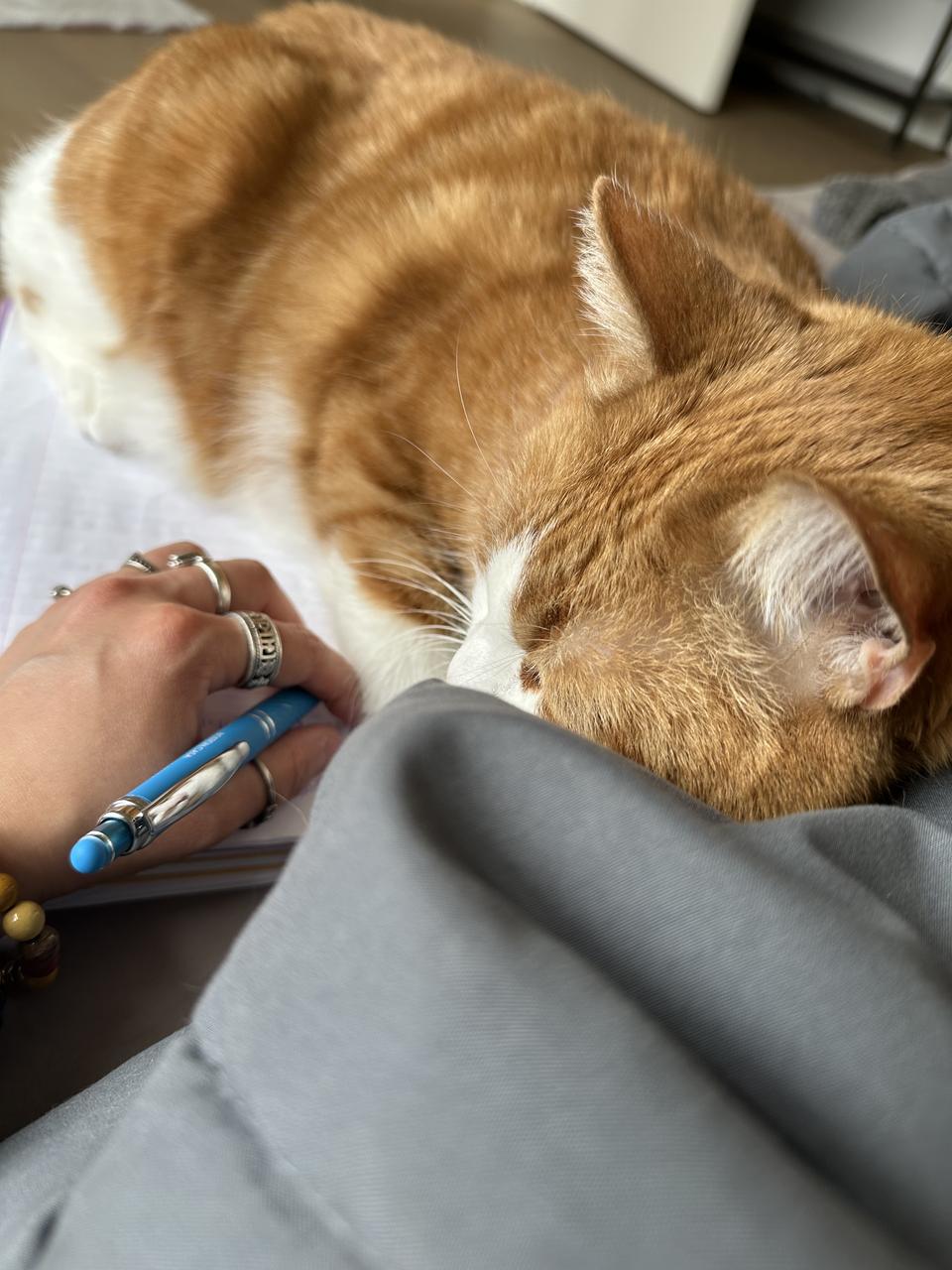 Profile photo 3 of 3